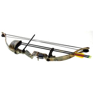 Compound Bows