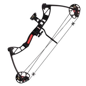 Archery Bows