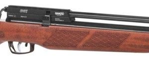 gamo_coyote_airgun_package